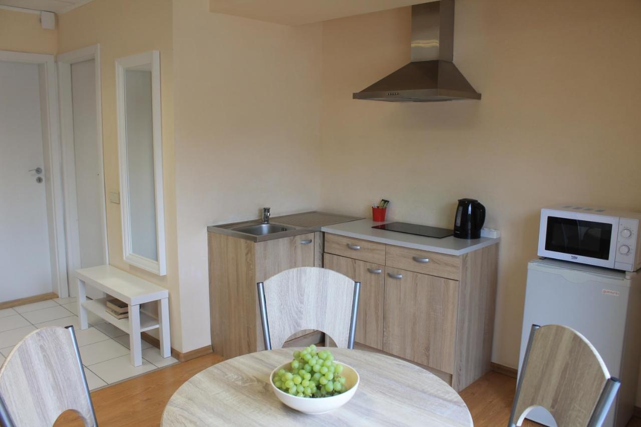Parko Studija Apartment Birštonas Екстериор снимка